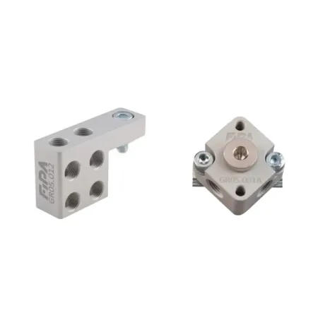 MANIFOLD FIPA