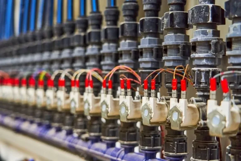 Conjunto de válvulas